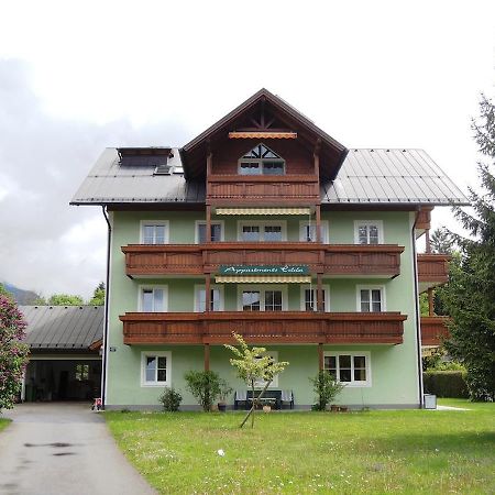 Appartements Edda Штробль Екстер'єр фото